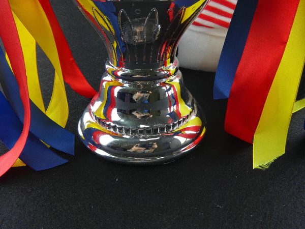 The Henri Delaunay Cup - Image 4
